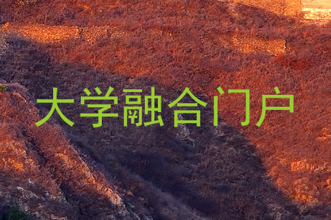 大学融合门户