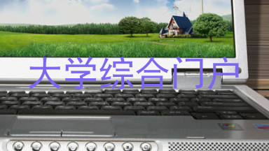 大学综合门户