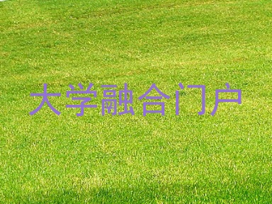大学融合门户