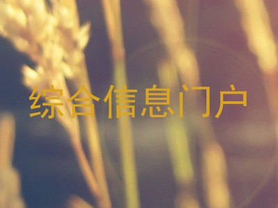 综合信息门户