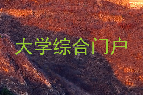 大学综合门户