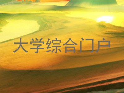 大学综合门户