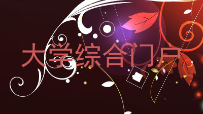 大学综合门户