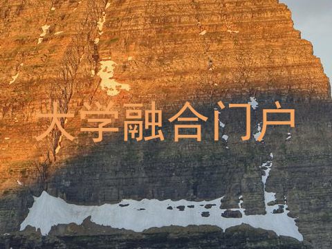 大学融合门户