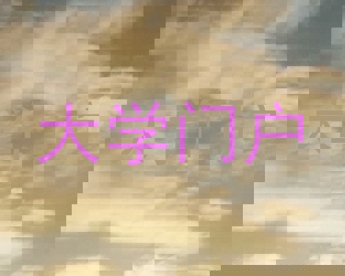 大学门户