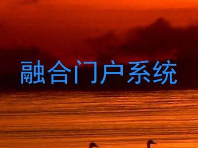 融合门户系统