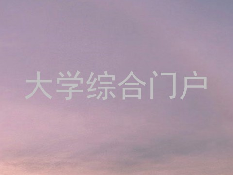 大学综合门户