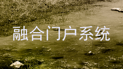 融合门户系统
