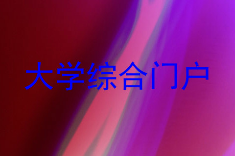 大学综合门户