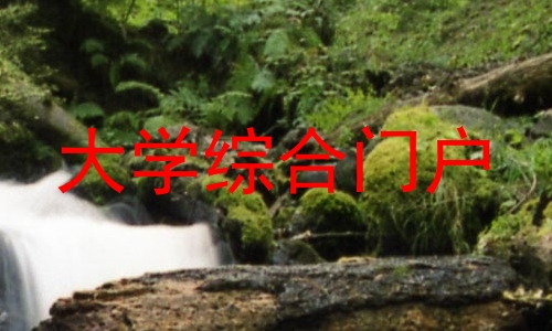 大学综合门户