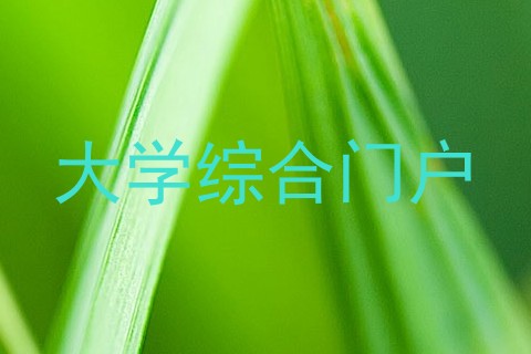 大学综合门户