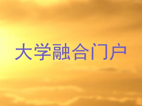大学融合门户