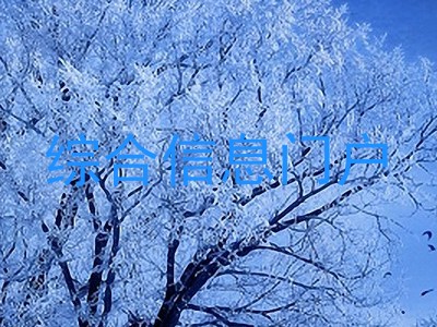 综合信息门户