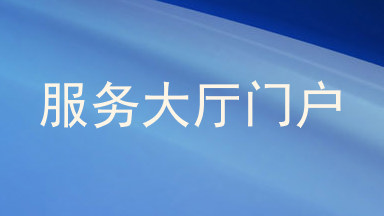 服务大厅门户