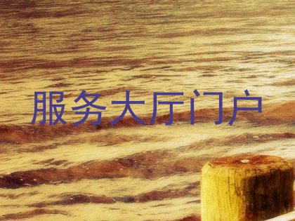 服务大厅门户