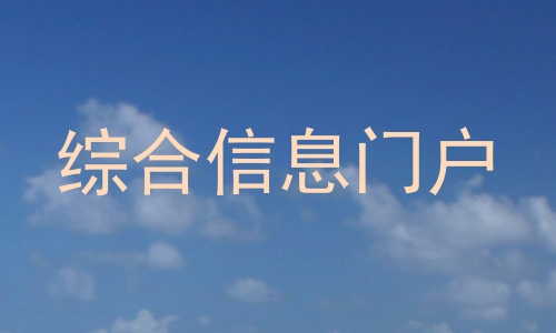 综合信息门户