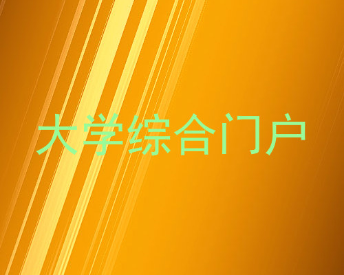 大学综合门户