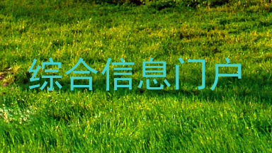 综合信息门户