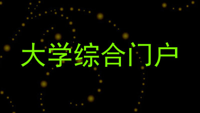 大学综合门户