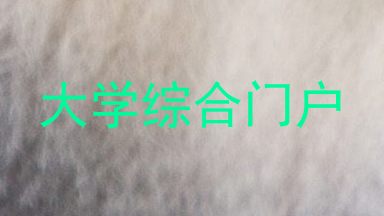 大学综合门户