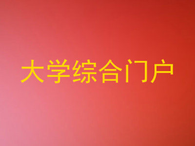 大学综合门户
