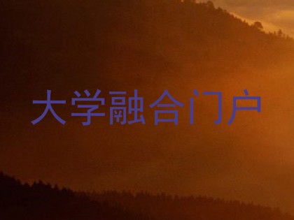 大学融合门户