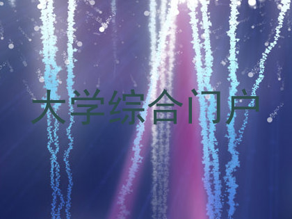 大学综合门户