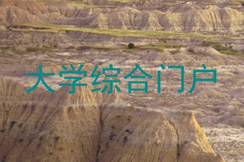 大学综合门户