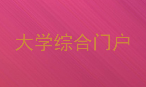 大学综合门户