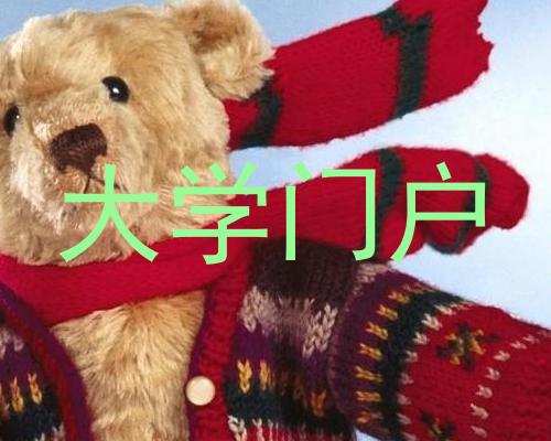 大学门户