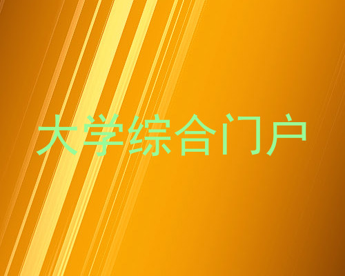 大学综合门户