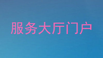 服务大厅门户