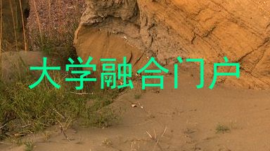 大学融合门户