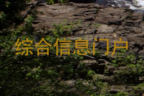 综合信息门户