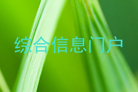 综合信息门户