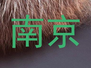 南京