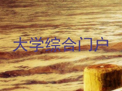 大学综合门户
