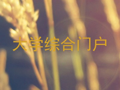 大学综合门户