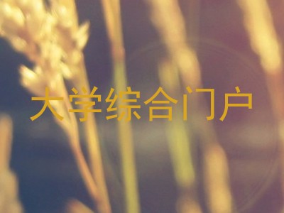 大学综合门户