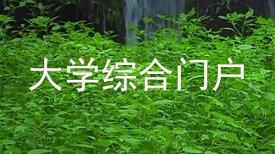 大学综合门户