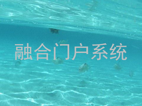 融合门户系统