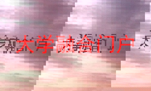 大学融合门户