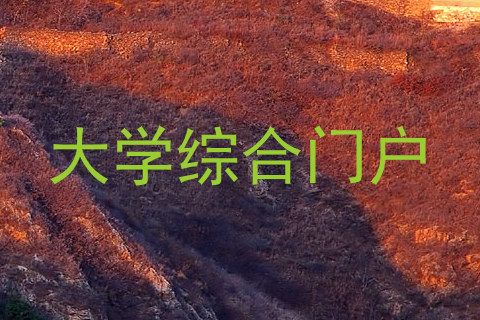 大学综合门户