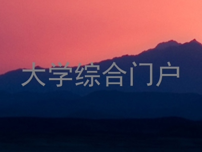 大学综合门户