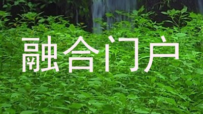 融合门户