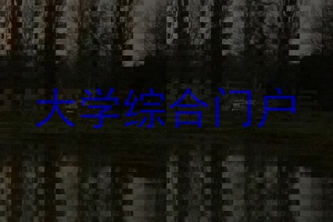 大学综合门户