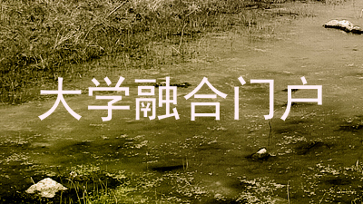 大学融合门户