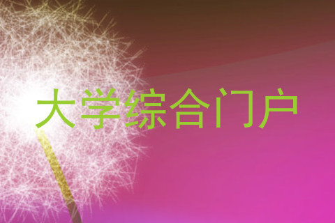 大学综合门户