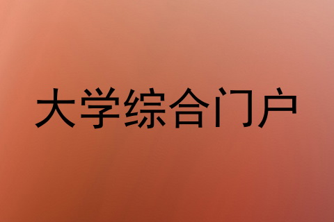 大学综合门户