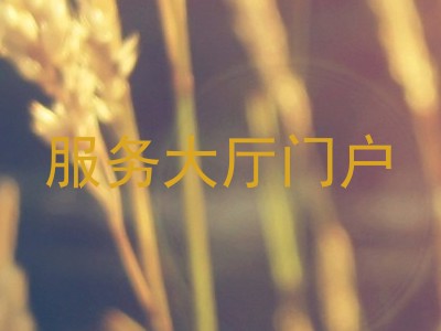 服务大厅门户